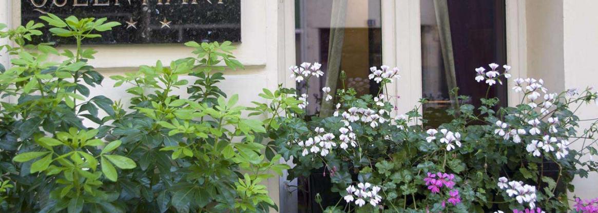 Optimisation des espaces verts