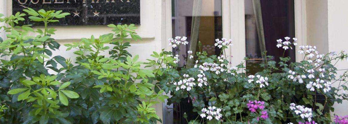 Optimisation of green spaces