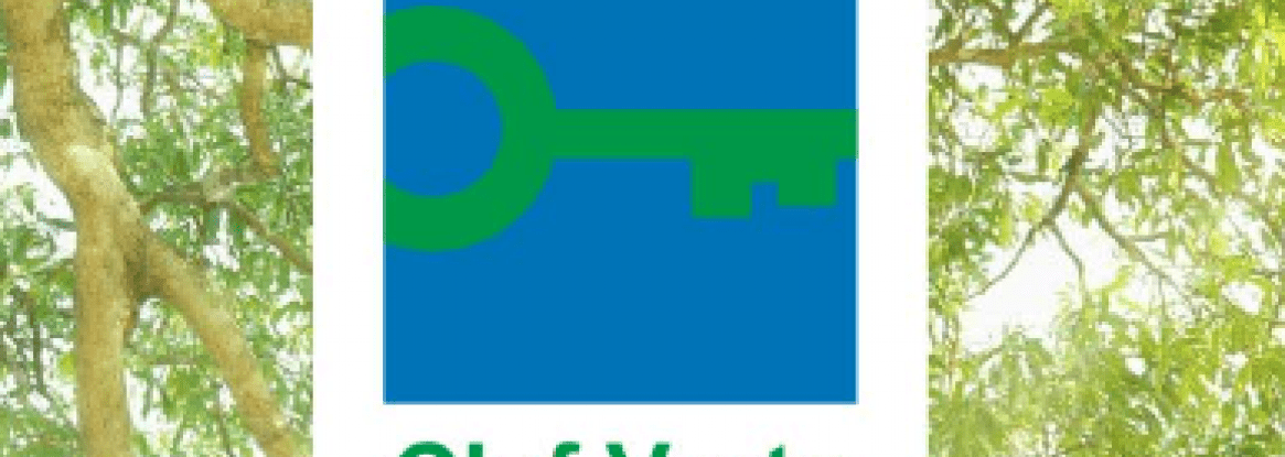 ¡Rumbo a la Llave Verde!