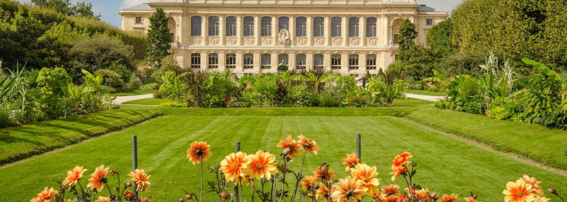 Paris s’illumine pour les fêtes