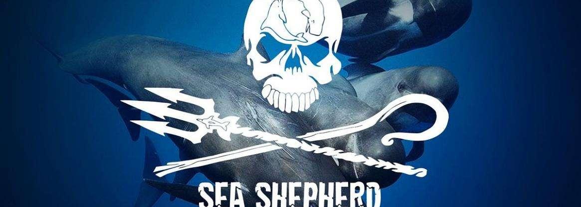 Collaboration with Sea Shepherd